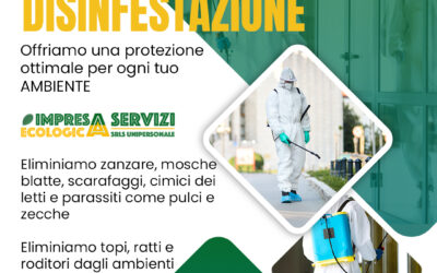 Disinfestazione e Derattizzazione Professionale: Garanzia di Ambienti Sicuri e Salubri
