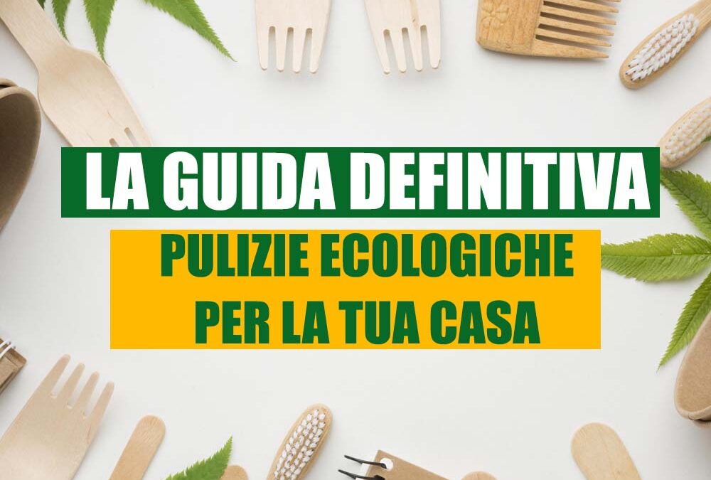 La guida definitiva alla pulizia ecologica per la tua casa
