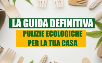 La guida definitiva alla pulizia ecologica per la tua casa
